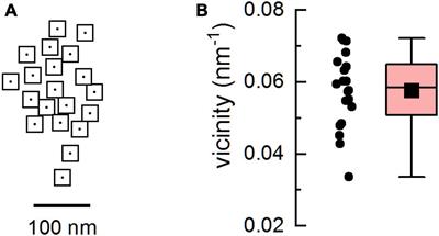 Magnesium Ions Moderate Calcium-Induced Calcium Release in Cardiac Calcium Release Sites by Binding to Ryanodine Receptor Activation and Inhibition Sites